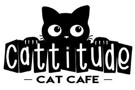 cattitude-logo