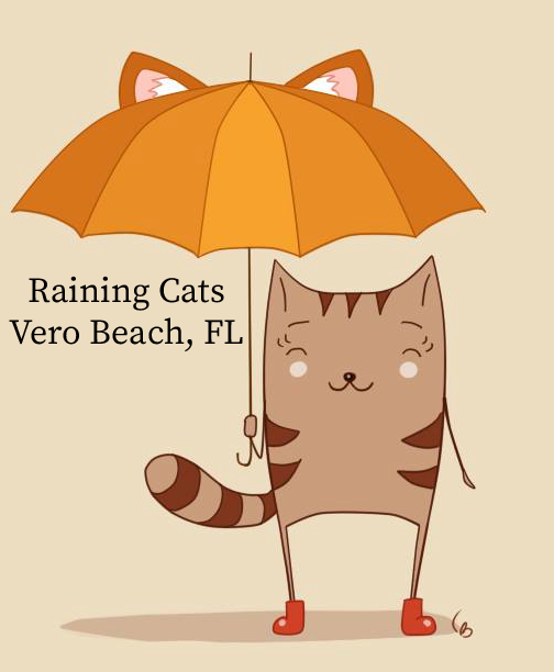 BDB: Is Brevard getting a cat cafe?! Heroes in Vero Beach and a BOGO from  SpaceX